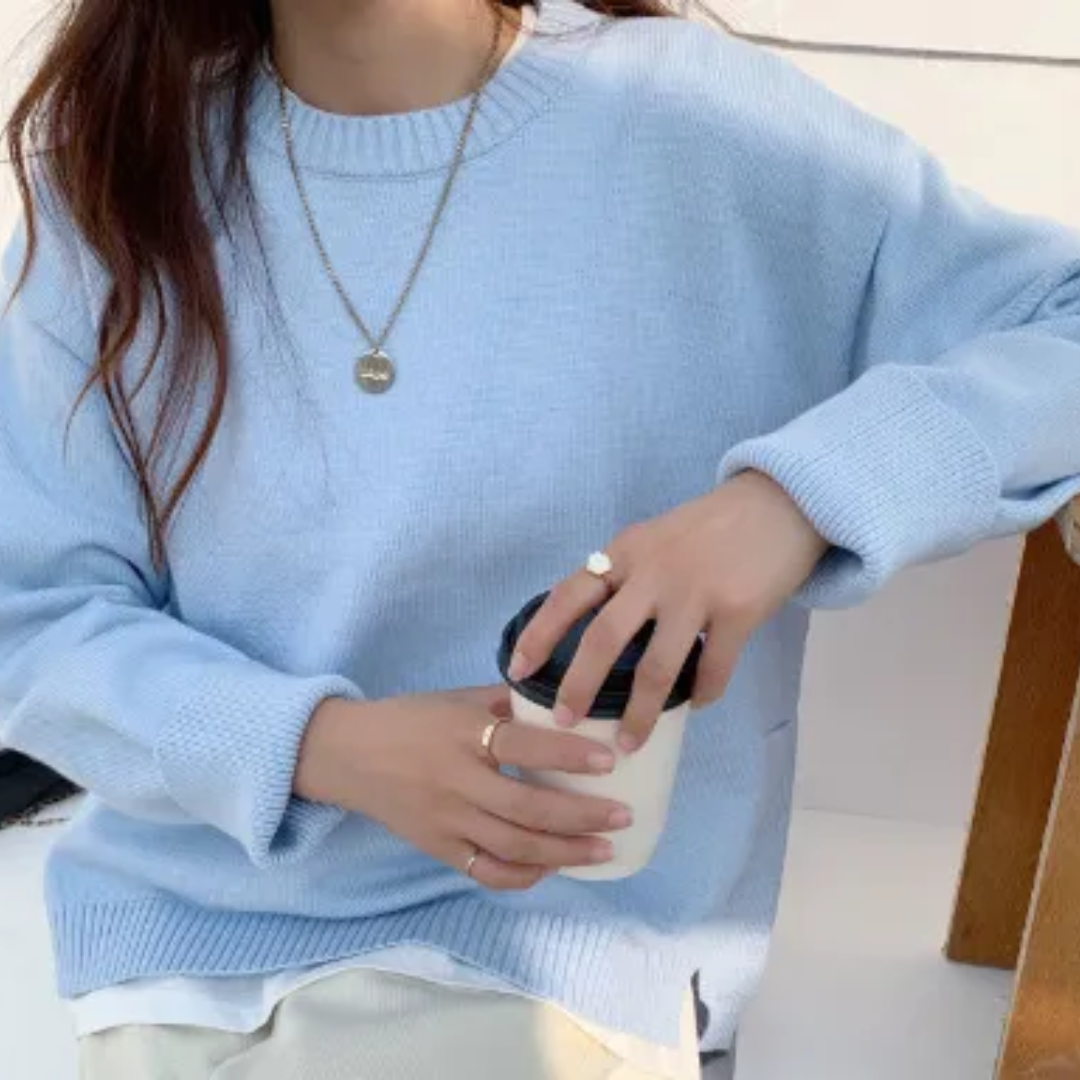Daleyza | Pull Ras Du Cou Pour Femme | Manches Longues
